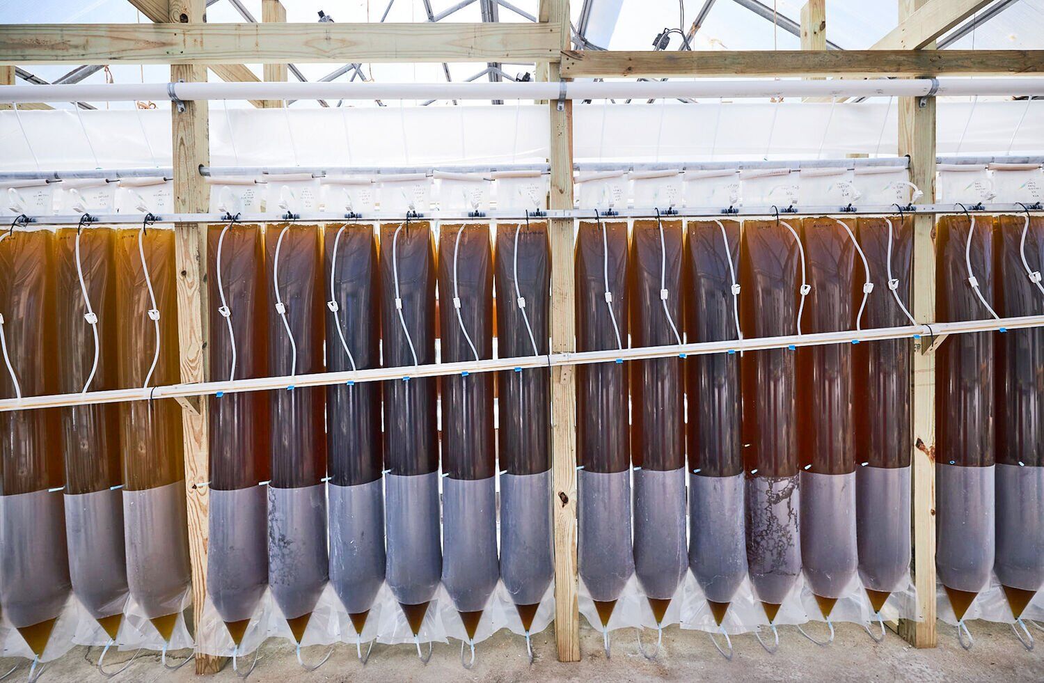 Algae bags